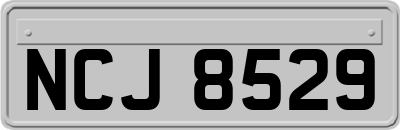 NCJ8529