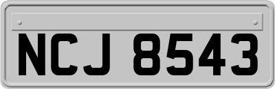 NCJ8543