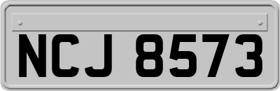 NCJ8573