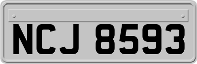 NCJ8593