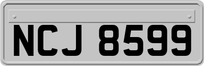 NCJ8599