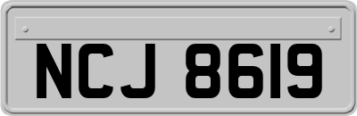 NCJ8619