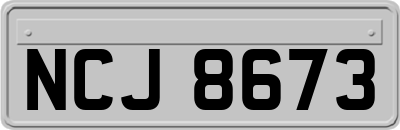 NCJ8673