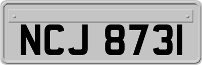 NCJ8731