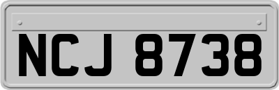 NCJ8738