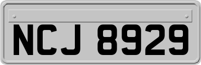 NCJ8929
