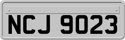 NCJ9023