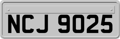 NCJ9025