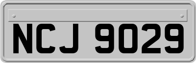 NCJ9029