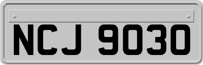 NCJ9030