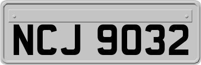 NCJ9032