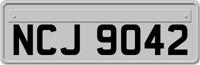 NCJ9042