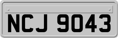 NCJ9043