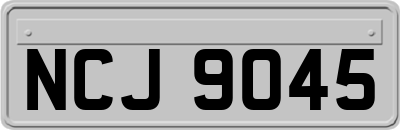 NCJ9045