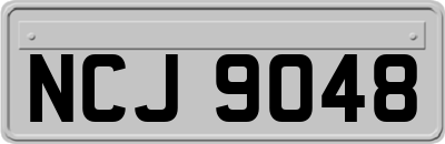 NCJ9048