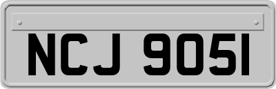 NCJ9051