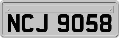 NCJ9058