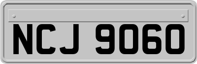NCJ9060