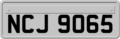 NCJ9065