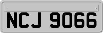 NCJ9066