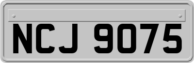 NCJ9075