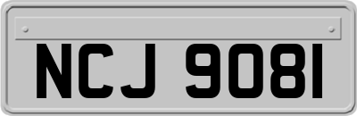 NCJ9081