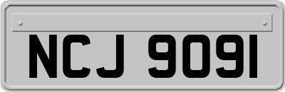NCJ9091