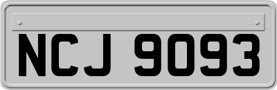 NCJ9093