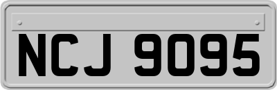 NCJ9095