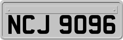 NCJ9096