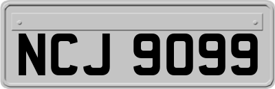 NCJ9099