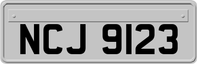 NCJ9123