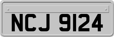 NCJ9124