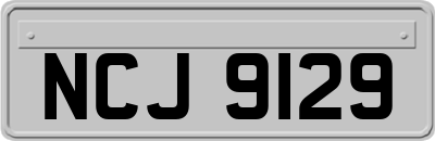 NCJ9129