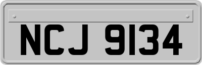 NCJ9134