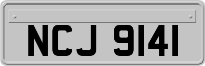 NCJ9141