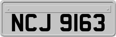 NCJ9163