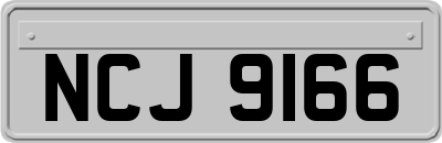 NCJ9166