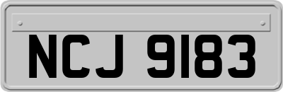NCJ9183