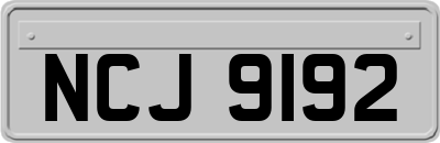 NCJ9192