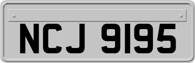 NCJ9195
