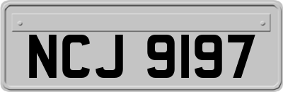 NCJ9197
