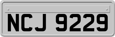 NCJ9229