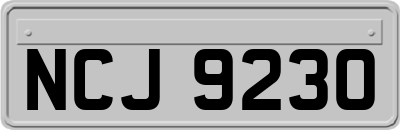 NCJ9230