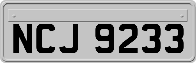 NCJ9233