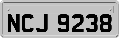 NCJ9238