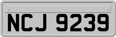 NCJ9239