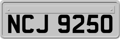 NCJ9250