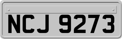 NCJ9273