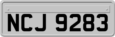 NCJ9283